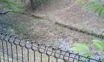 070701_1717~0001.jpg